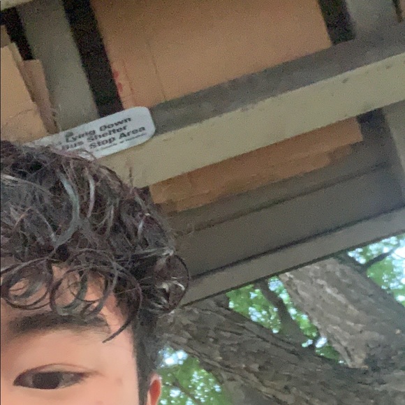 jevweenie